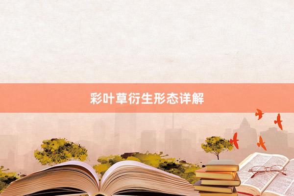 彩叶草衍生形态详解