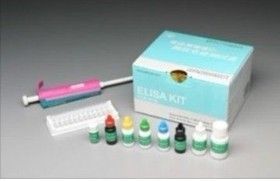 人精氨酸酶(Arg)ELISA试剂盒,-产品报价-中国实验室试剂耗材采购网