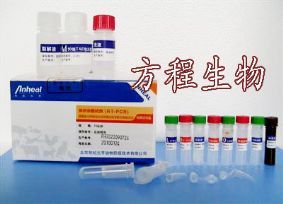 大鼠基质金属蛋白酶4(MMP-4)酶联免疫ELISA试剂盒_实验室耗材_试剂_其他化学试剂_产品展示-中国教育装备采购网